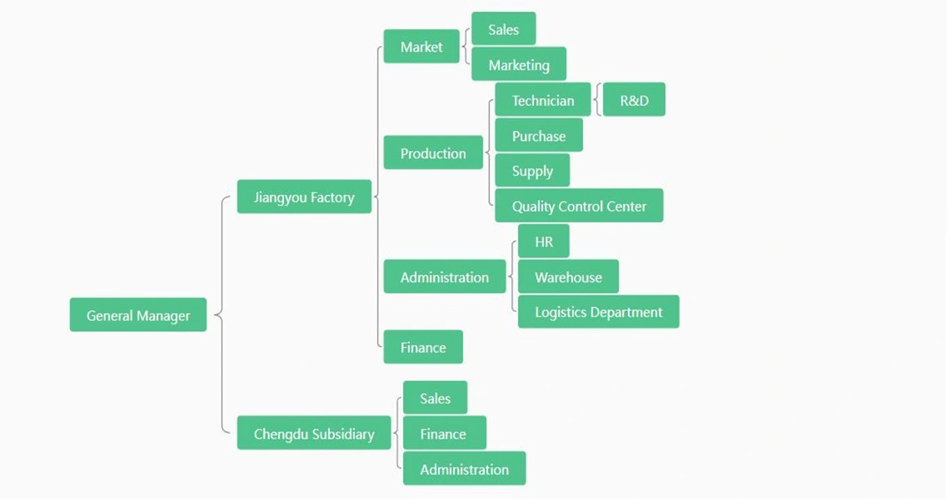 Company Structure