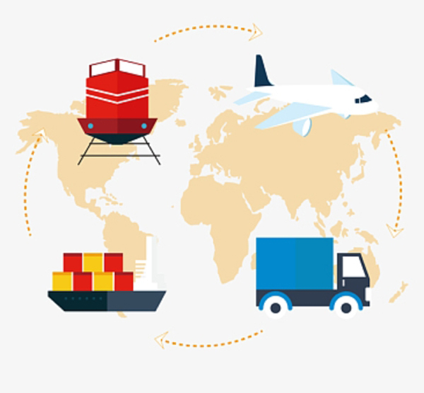 Shipping Info